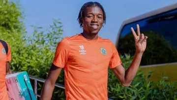 Динамо планує підписати легіонера: яку позицію хоче підсилити Шовковський