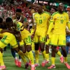 ПАР вперше зіграє в плейоф чемпіонату світу: африканці перемогли Південну Корею