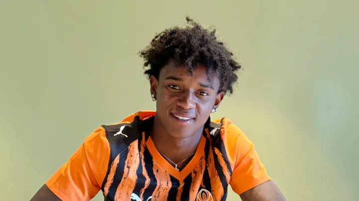 Взяли приклад із львівських Карпат: у Шахтарі офіційно з’явився свій Бруніньйо