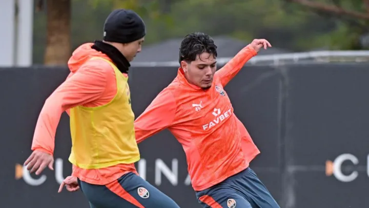 «Дійсно складно, тренування дуже втомлюють»: бразильський легіонер Шахтаря повідав про методи роботи Турана