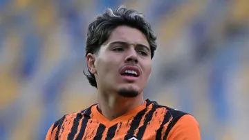 Бразильський талант Шахтаря зацікавив грандів Бундесліги: хто хоче підписати Мейрелліша