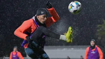 «Не перевершує Циганкова або Малиновського»: Кварцяний висловився про натуралізацію Педріньйо